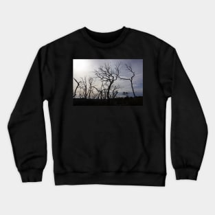 Black dead Manna gum tree limbs, Crewneck Sweatshirt